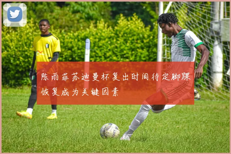 陈雨菲苏迪曼杯复出时间待定脚踝恢复成为关键因素